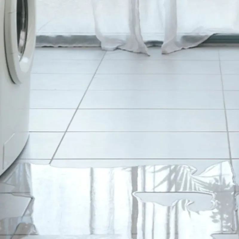 Appliance Leak Cleanup in Kenly, NC