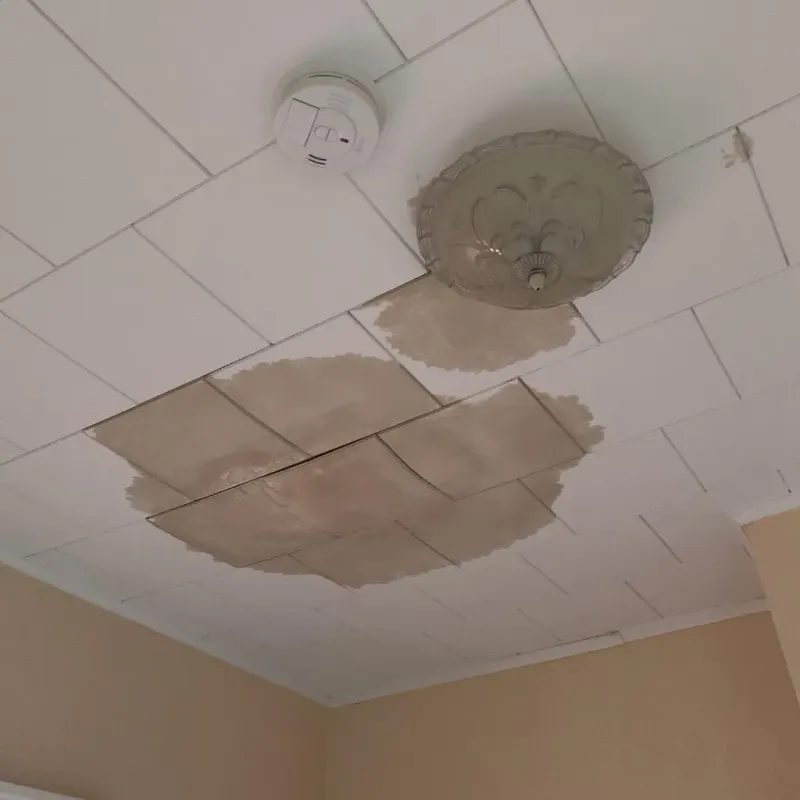 Ceiling Water Damage Repair in Kenly, NC