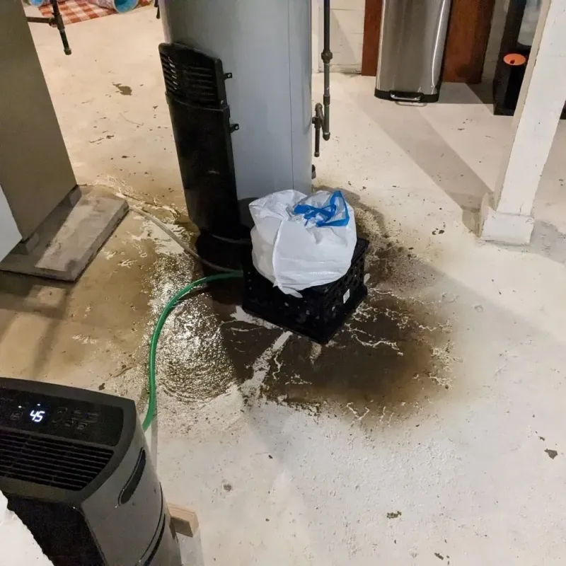 Sewage Backup Cleanup Service in Kenly, NC